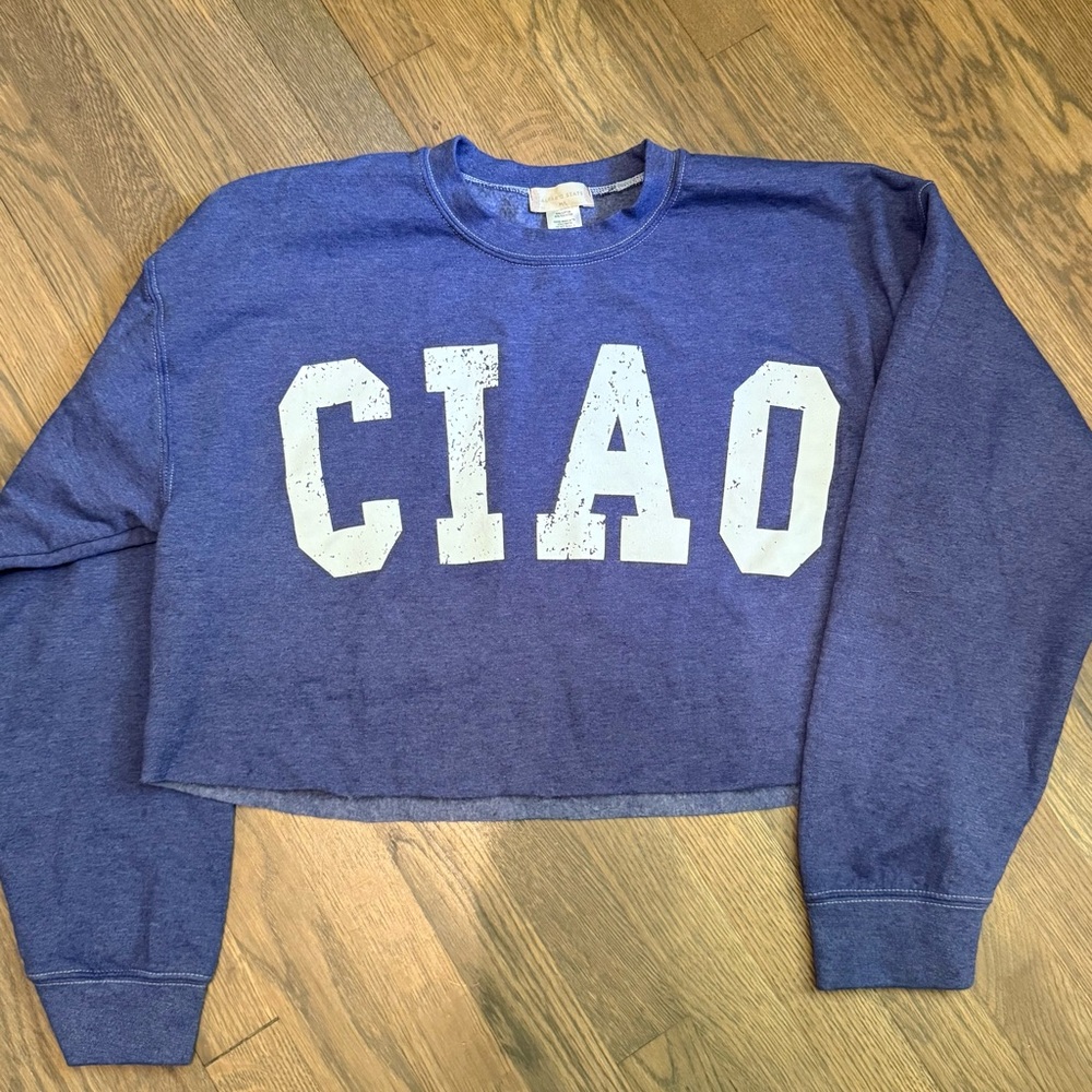 Altar'd State Blue Cropped Sweatshirt